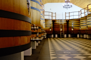 I didn’t take any pictures worth sharing this week, so here’s the fermentation room at Château Fombrauge, Saint-Emilion, taken during our trip to France in July 2022.